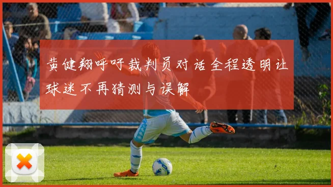 黄健翔呼吁裁判员对话全程透明让球迷不再猜测与误解