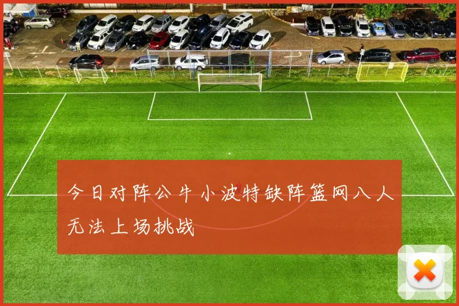 今日对阵公牛小波特缺阵篮网八人无法上场挑战