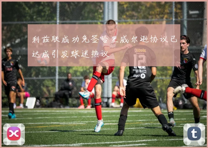 利兹联成功免签哈里威尔逊协议已达成引发球迷热议
