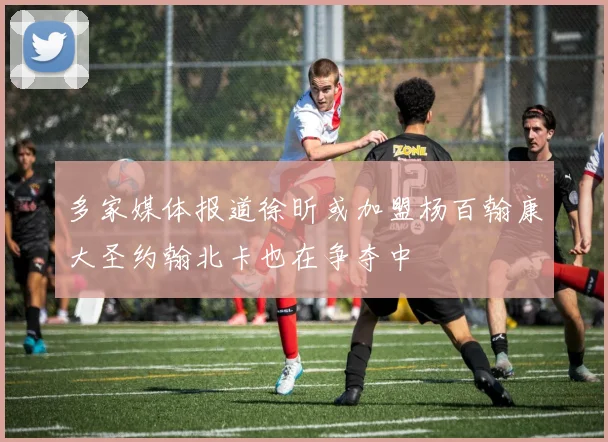 多家媒体报道徐昕或加盟杨百翰康大圣约翰北卡也在争夺中